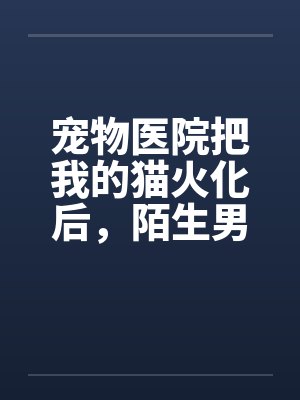 宠物医院把我的猫火化后，陌生男人说我是他老婆