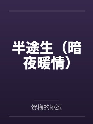 半途生（暗夜暖情）